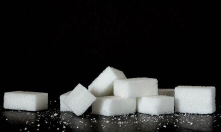 Det søde liv – med eller uden sukker?