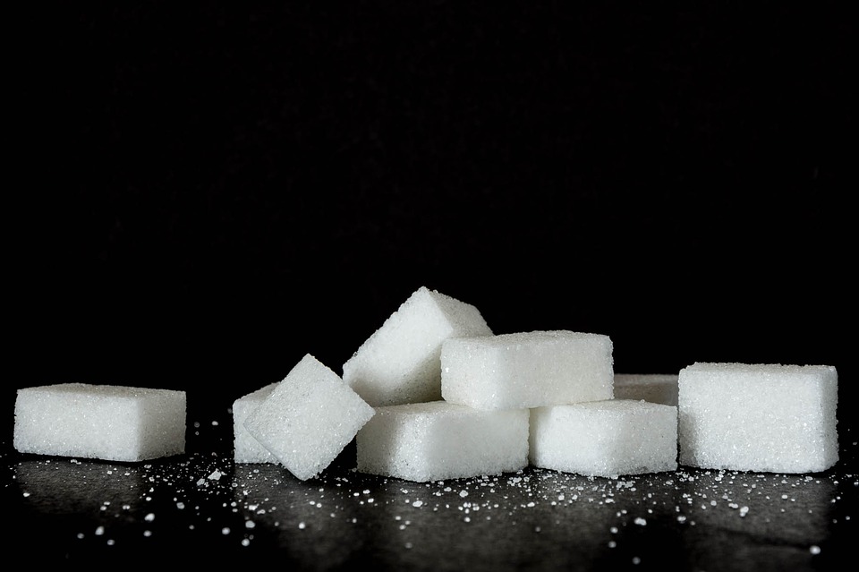 Det søde liv – med eller uden sukker?